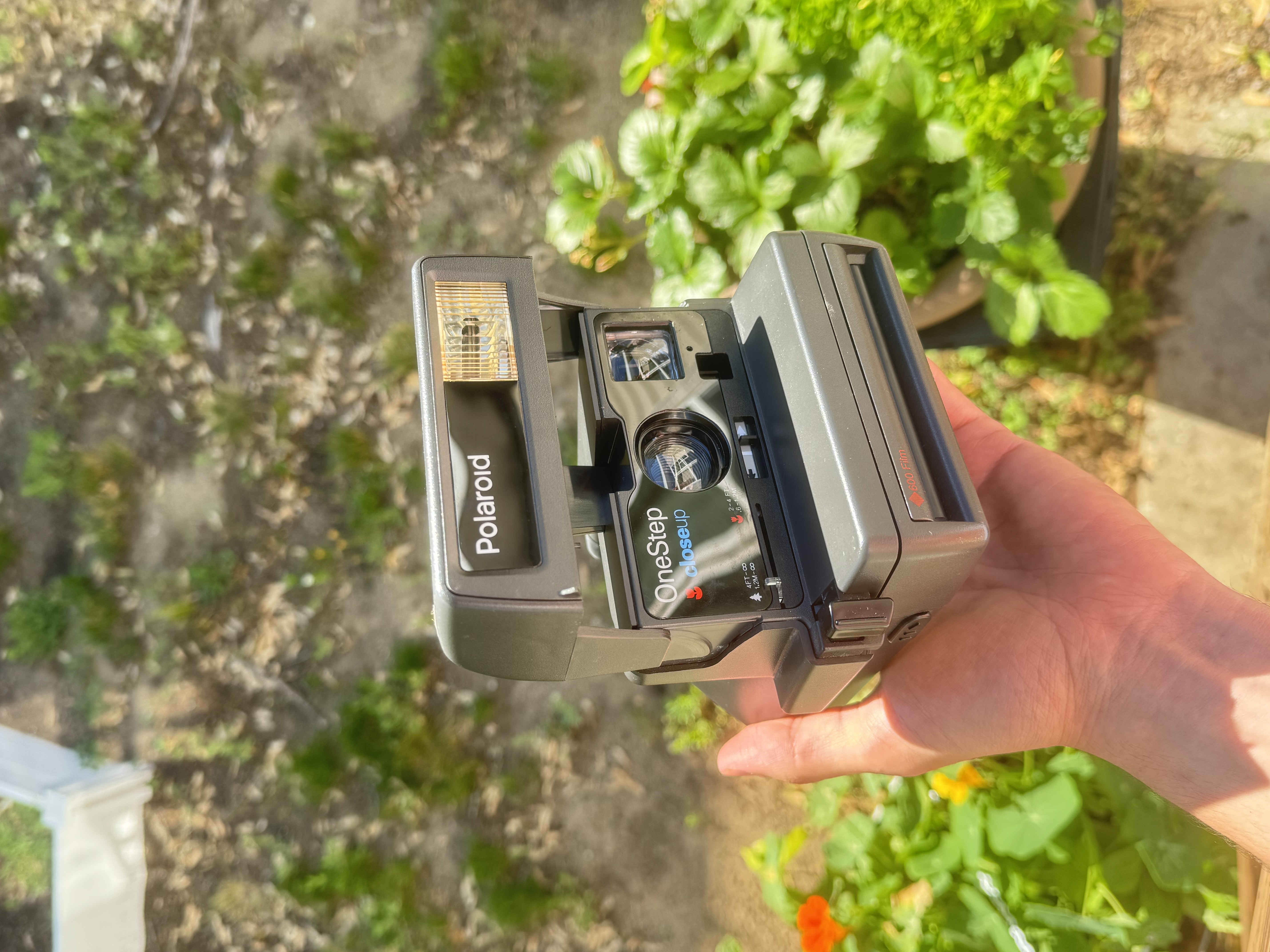 A Polaroid